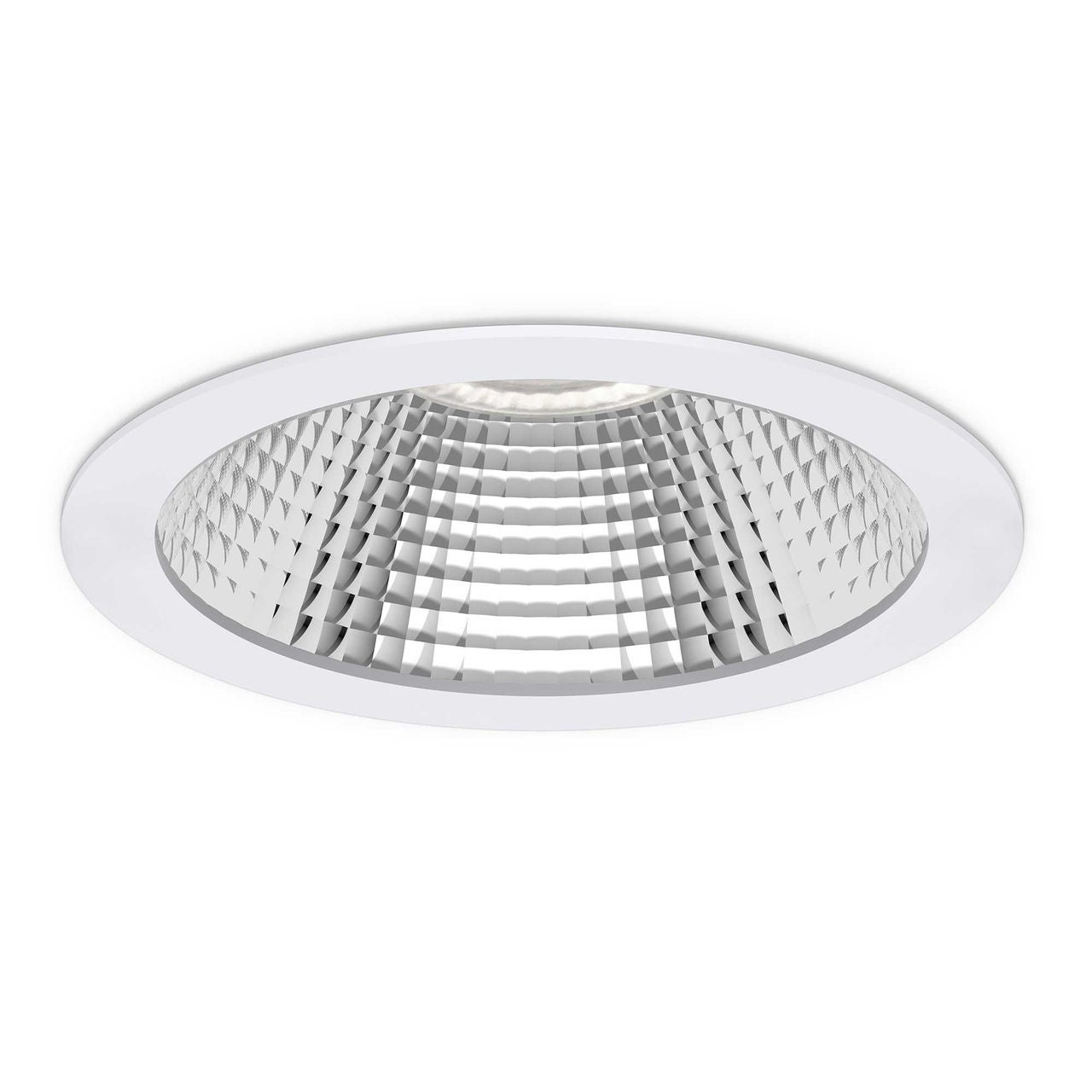 Coral LED™ Plus Coral LED™ Plus image